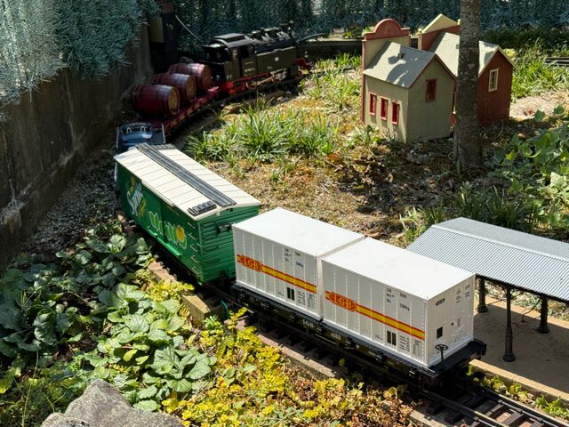 LGB 25802 HSB steam locomotive 99 6001-4