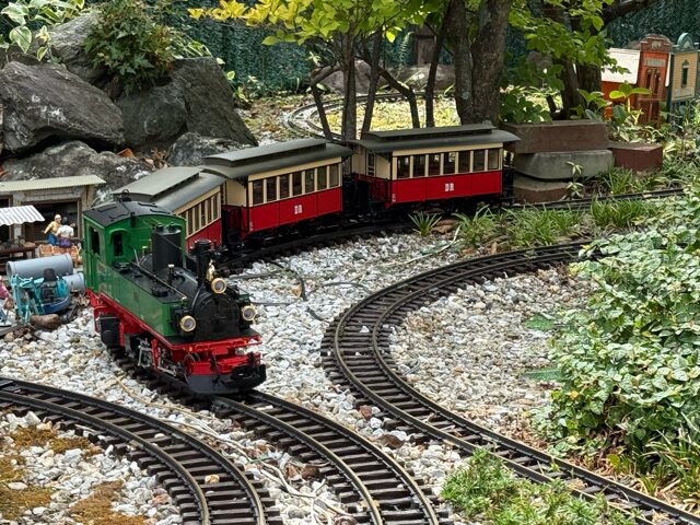 LGB 20841 Sachsen IV K Steam Loco, 132