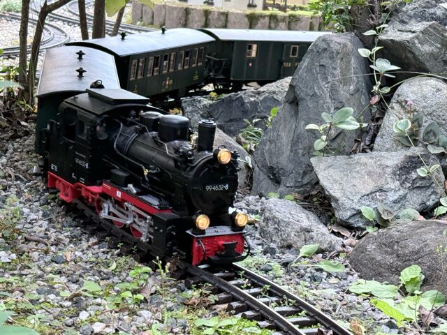 Rügen Dampflok 994632-8