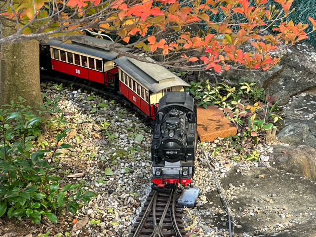 LGB 25802 HSB steam locomotive 99 6001-4